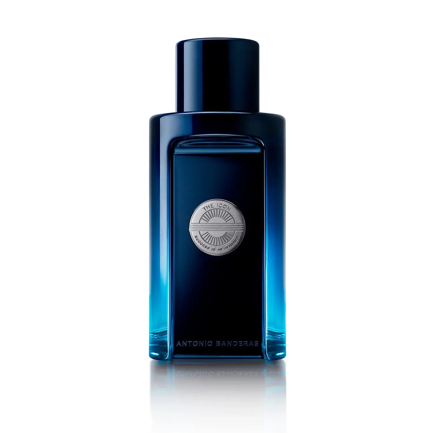 ANTONIO BANDERAS THE ICON